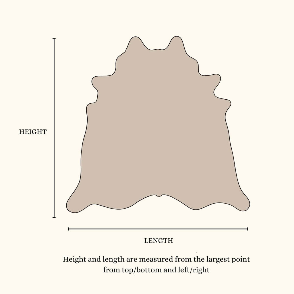 Product photo showcasing height and length measurements of a cowhide rug.